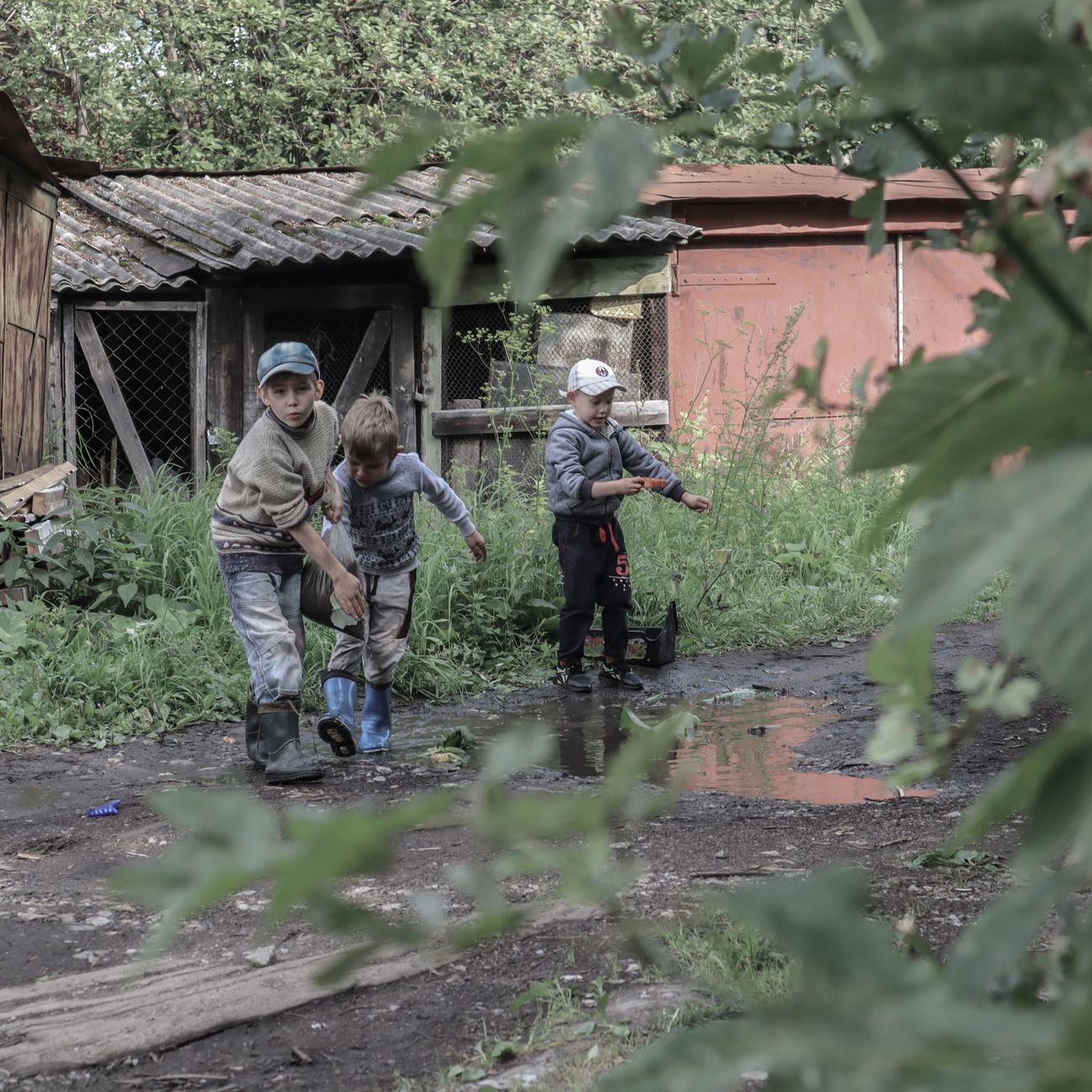 Children playing outdoors among trees
